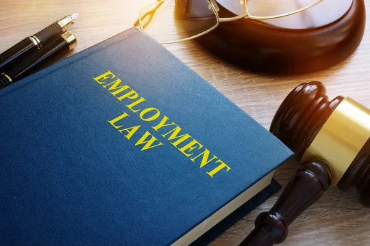 employment law website design